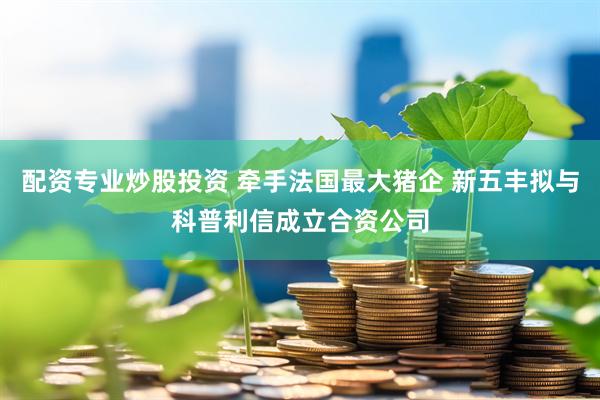 配资专业炒股投资 牵手法国最大猪企 新五丰拟与科普利信成立合资公司