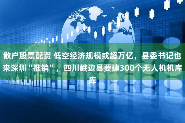 散户股票配资 低空经济规模或超万亿，县委书记也来深圳“推销”，四川峨边县要建300个无人机机库