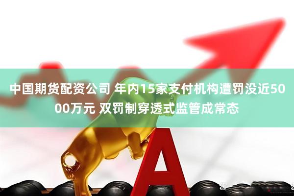 中国期货配资公司 年内15家支付机构遭罚没近5000万元 双罚制穿透式监管成常态